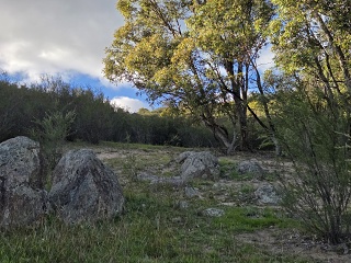 20260412 074839