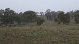 Video Panorama .mp4
