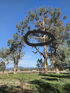 The Place to sling a wire up in a tree.