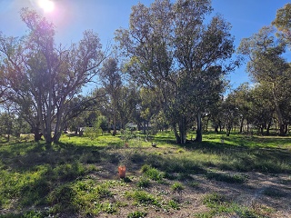 Looking North